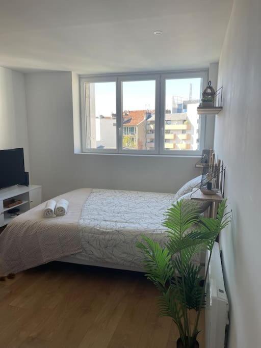 Studio Cosy Rue Alexander Taylor, Wifi, 2 Pers Pau Extérieur photo